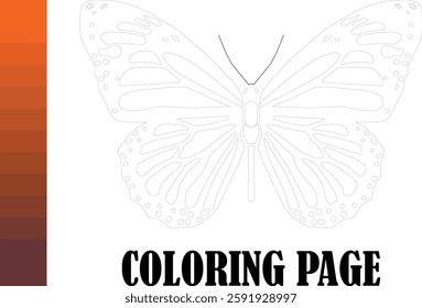 vector ilustration of butterfly drawing page