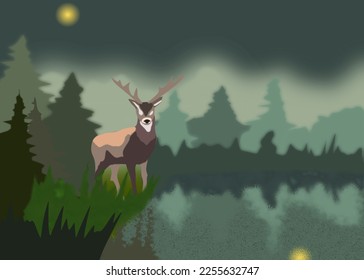 Vector ilustration of a deer in the forest standing by a lake at night