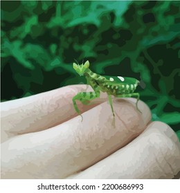 vector ilustration of praying mantis stand on human hands;for design content, packaging, prints, wall decoration.