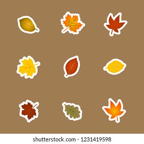 Vector ilustrations set: Colorful autumn leaves 
