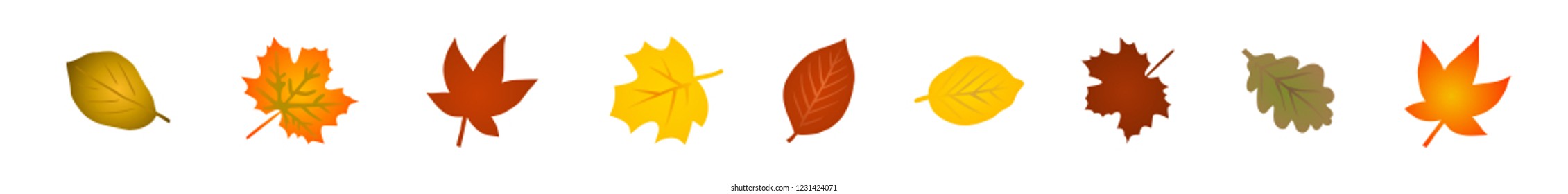 Vector ilustrations set: Colorful autumn leaves 