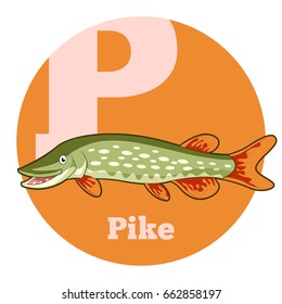 Vector image of the ABC Cartoon Pike