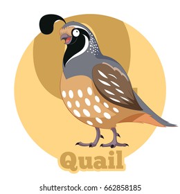 Vector image of the ABC Cartoon Quail