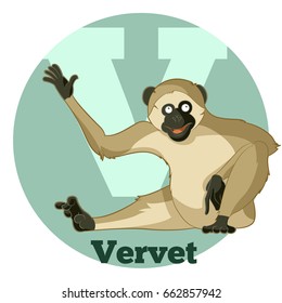 Vector image of the ABC Cartoon Vervet