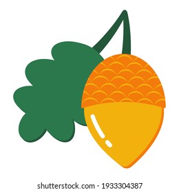 vector image of acorn and oak leaf on white background