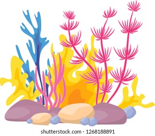 Vector Image Algae Corals Stock Vector (Royalty Free) 1268188891 ...