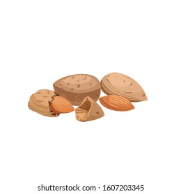 
Vector image of almond on a white background. Almonds scarlet and without.