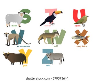 Vector image of alphabet with animals
