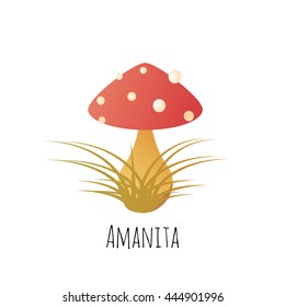 Vector Image amanita on a light background. Forest, mushrooms, nature, element, leaf, autumn.