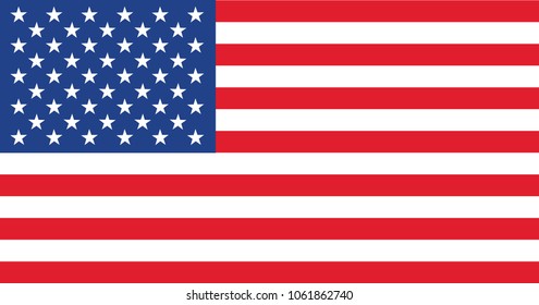 vector image of american flag