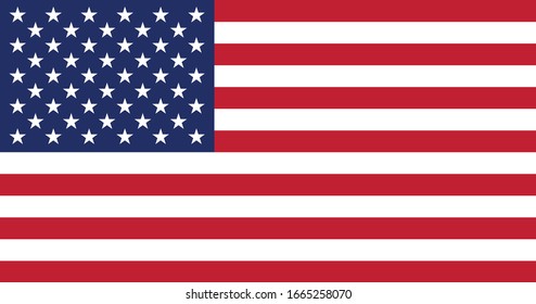 vector image of american flag svg