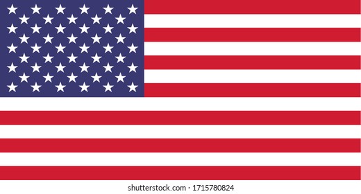 vector image of american flag