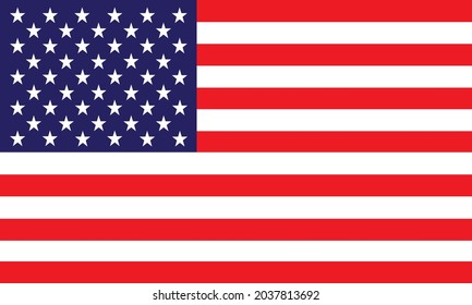 vector image of American flag