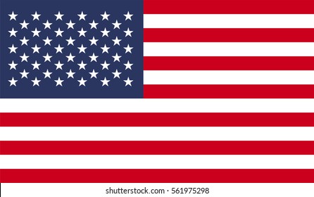 vector image of american flag