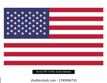 vector image of American flag. USA colored flag flat vector.