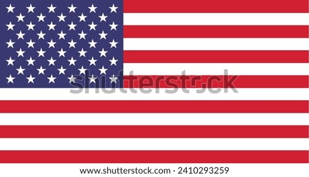 vector image of american flag USA eps 10