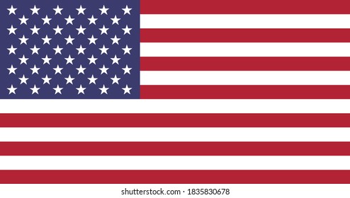 vector image of american national flag