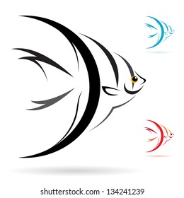 Vector image of an angel fish on white background