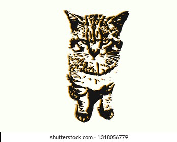 The vector image of an angry cat on an easy background
