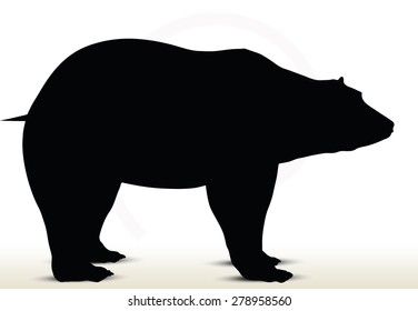 Vector Image - animal bear silhouette on white background 