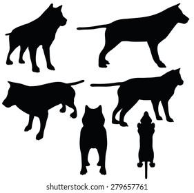 Vector Image - animal wolf silhouette isolated on white background 