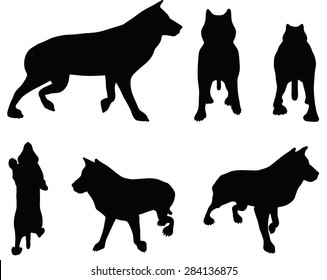 Vector Image - animal wolf silhouette isolated on white background