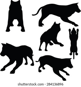 Vector Image - animal wolf silhouette isolated on white background