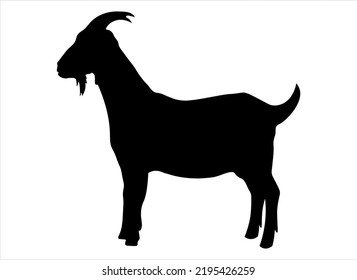 Vector image of an animals   on a white background