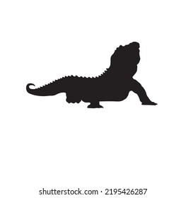 Vector image of an animals   on a white background