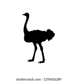 Vector image of an animals   on a white background