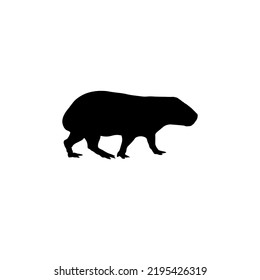 Imagen vectorial de un animal   sobre un fondo blanco