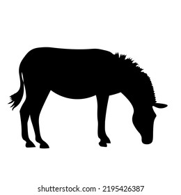 Vector image of an animals   on a white background