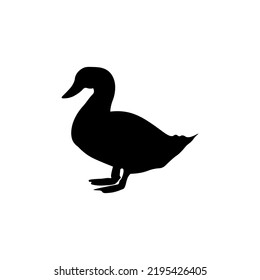 Vector image of an animals   on a white background