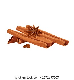 
Vector image of anise star with cinnamon sticks on a white background. Christmas spices.