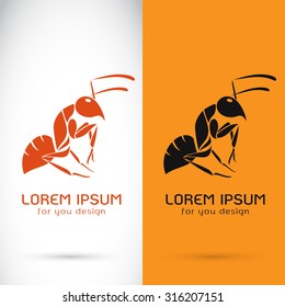 Vector image of a ant design on white background and orange background, Logo, Symbol