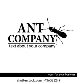 Vector image of a ant design on white background , Logo, Symbol. For you business