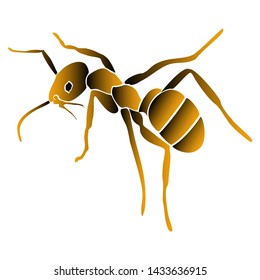 
vector image Ants live in colonies