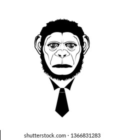 vector image of ape and silhouette of gorilla