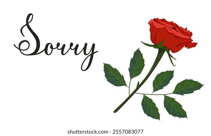 Vector image of apology lettering with red rose. Calligraphic text Sorry in horizontal view. Valentine's day concept. Batanic postcard