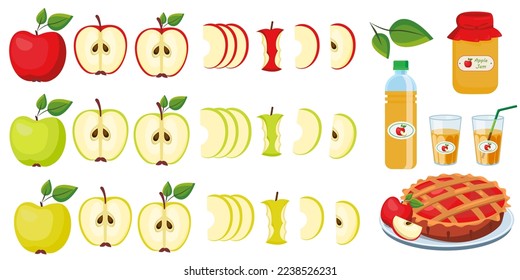 Vector image of an apple. The concept of healthy food and fresh fruit. Juicy fruits, apple snacks, vegetarian dishes.