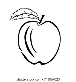 Vector image of apple. Illustration. Contour image. Outline. Graphic.