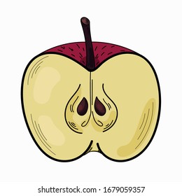 Vector image of apples. Isolated illustration with colored fruits. Vector drawing for greeting card, invitation, design, brochure, poster, banner, flyer, print, wrapping paper, textiles and web sites.