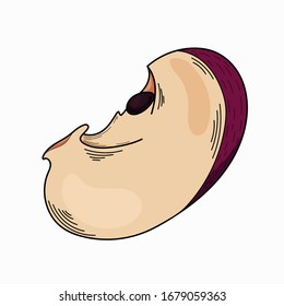 Vector image of apples. Isolated illustration with colored fruits. Vector drawing for greeting card, invitation, design, brochure, poster, banner, flyer, print, wrapping paper, textiles and web sites.