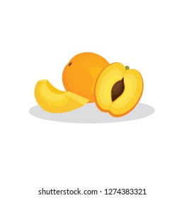 
Vector image of apricot. Apricot, half an apricot and a slice on a white background.