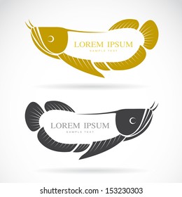Vector image of arowana fish