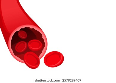 Vector image of artery. Arteries with cholesterol. Medical illustration for studying human and his body. Element for your design.