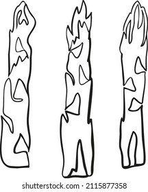 Vector image of asparagus. Linear black and white drawing. Design for menus, labels, stickers.