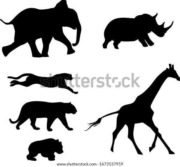 オーストラリアの動物が走るベクター画像がシルエットです キリン サイノ パンダ ゾウ トラ 野猫 のベクター画像素材 ロイヤリティフリー