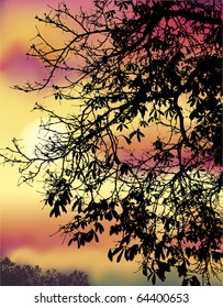 Vector image. Autumn chestnut branches against the evening sky cloud