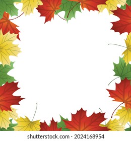 vector image of autumn leaves